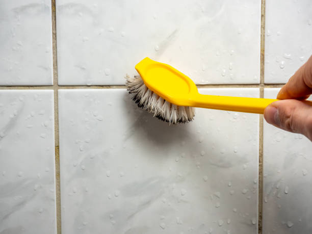  Baton Rouge, LA Mold Removal Pros