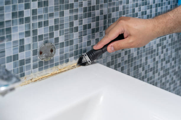Best Mold Removal Near Me  in Baton Rouge, LA