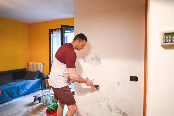 Home Mold Removal in Baton Rouge, LA